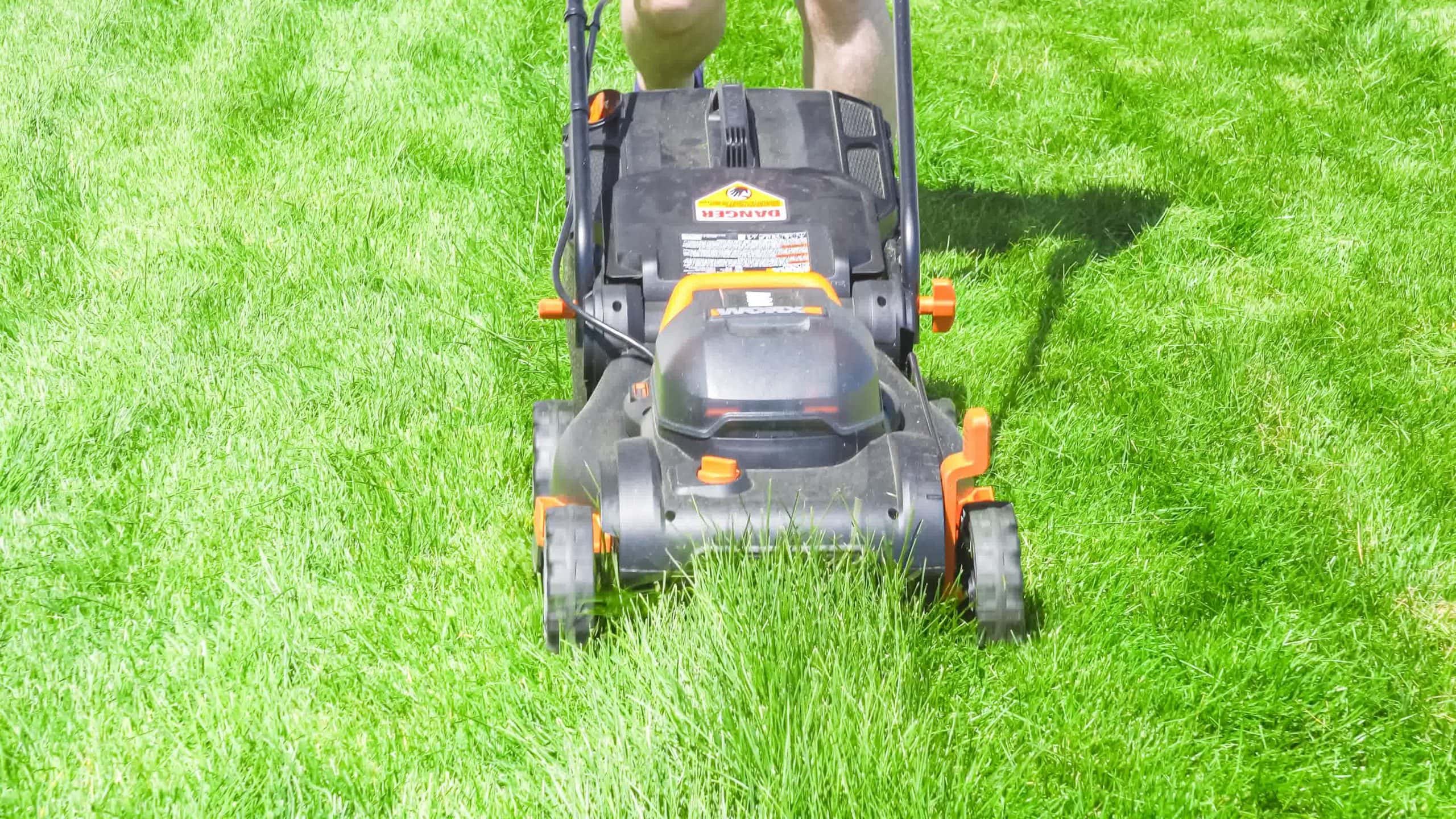 Close-up of a black and orange electric lawn mower cutting tall grass on a bright, sunny day.