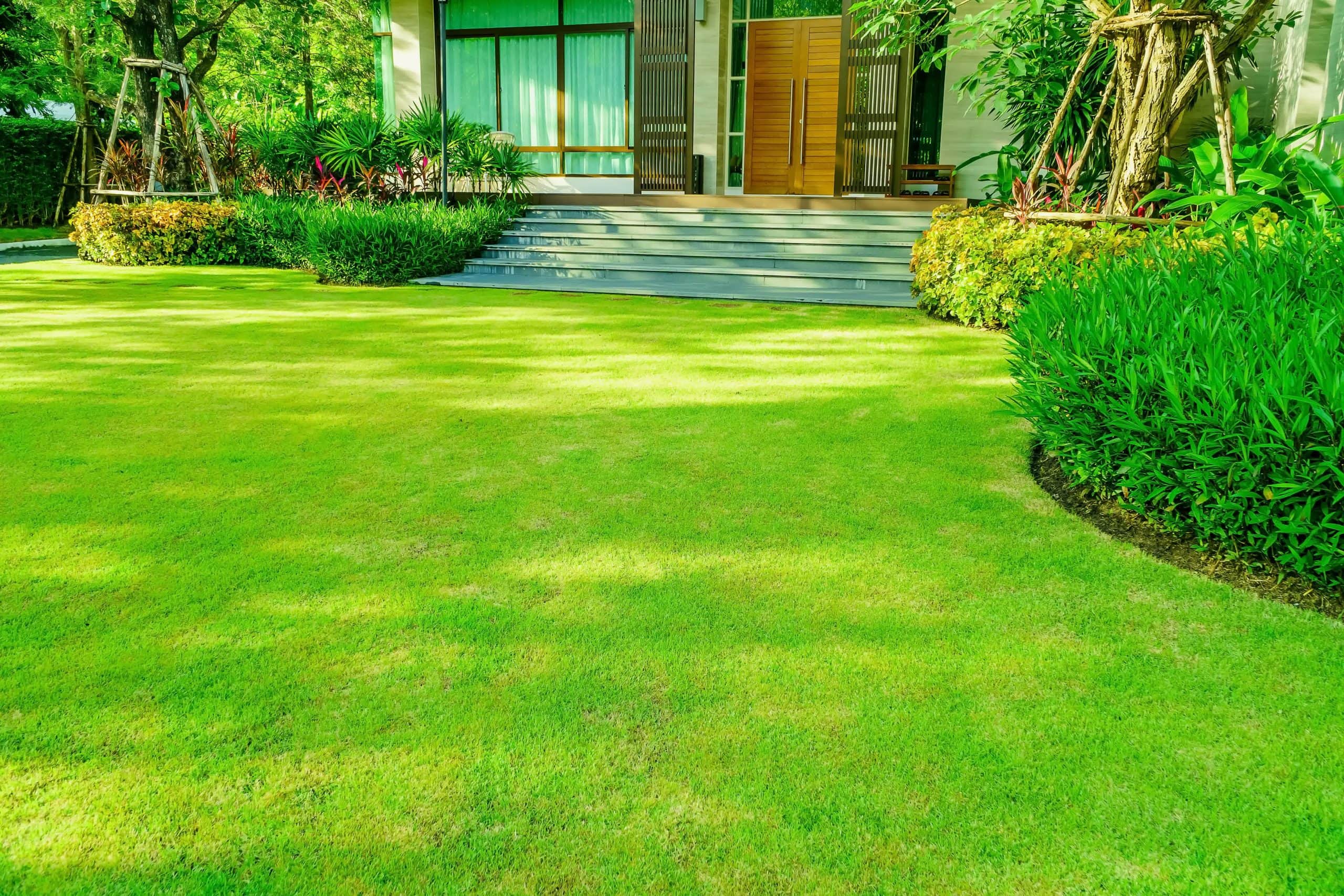 Modern house entrance with a neatly manicured green lawn, vibrant plants, and wooden front doors with glass panels.