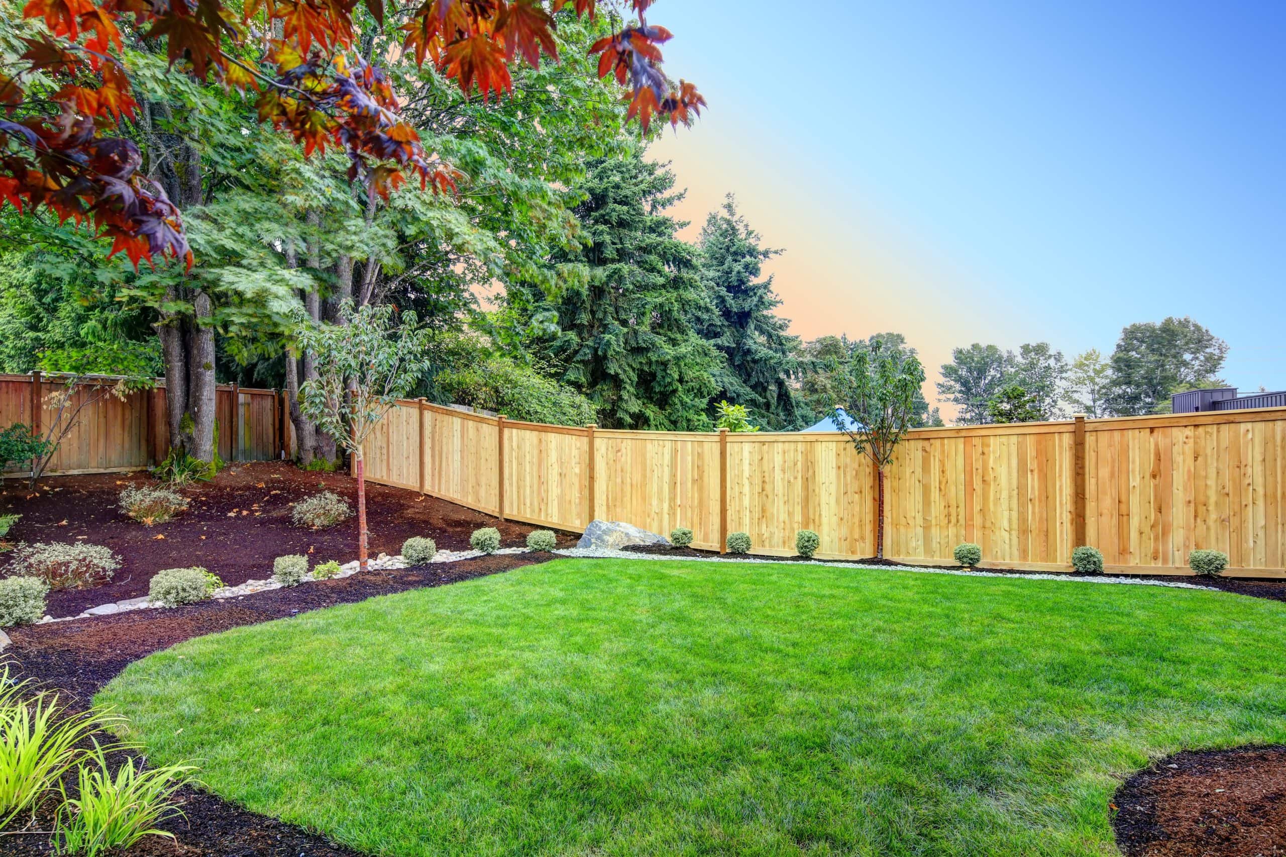 Backyard with green lawn, fresh mulch beds, and a new wooden fence surrounded by trees under a clear sky.