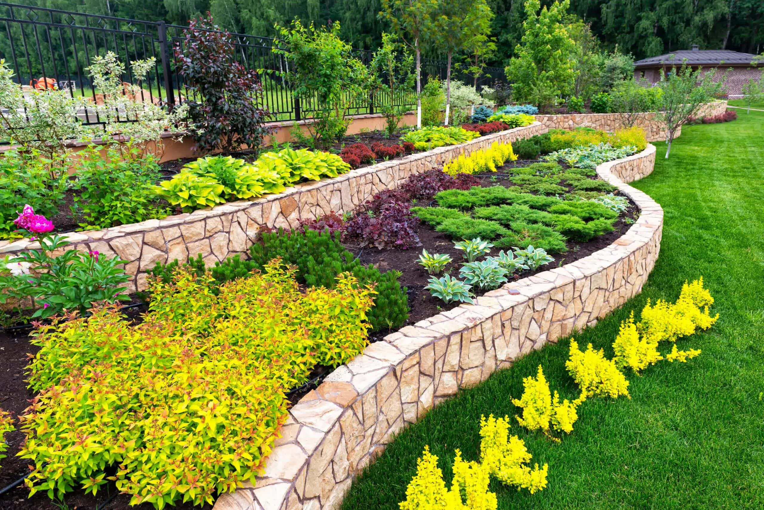 A natural stone retaining wall with a variety of plants and flowers.