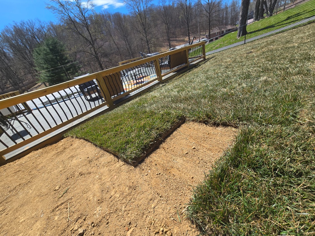 Sod being installed.