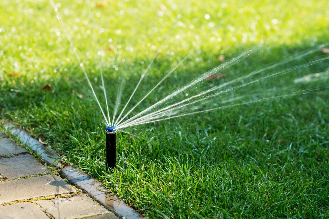 Pop-up sprinkler spraying multiple water jets across green lawn beside a paved walkway, showing active lawn irrigation system.