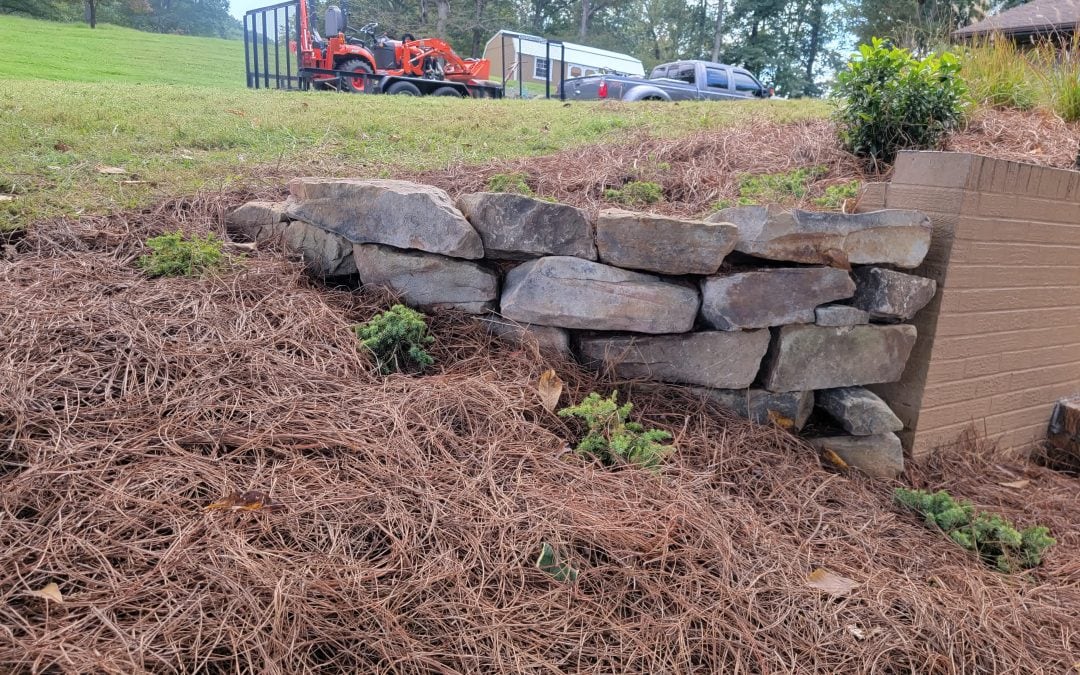 Have Backyard Drainage Problems? | How Hardscaping Can Help
