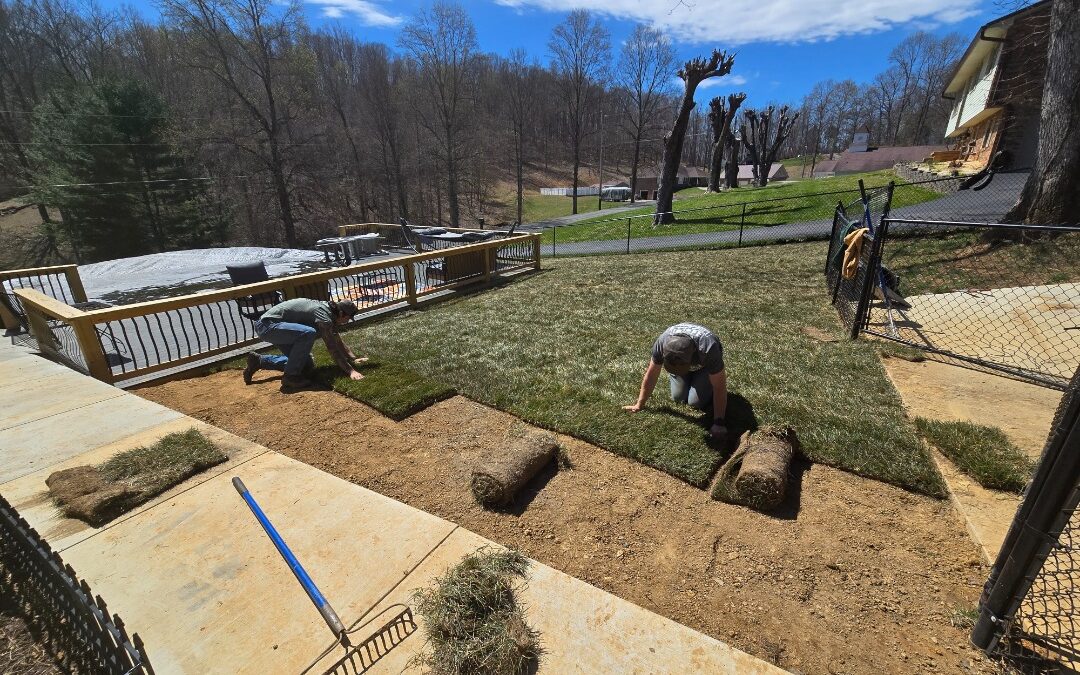 What’s Best For You? Hydroseeding or Sod Installation?