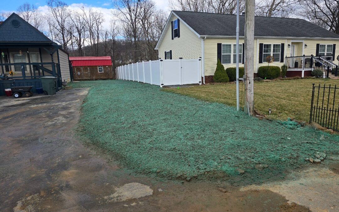 Top 3 Mistakes for Homeowners to Avoid After Hydroseeding