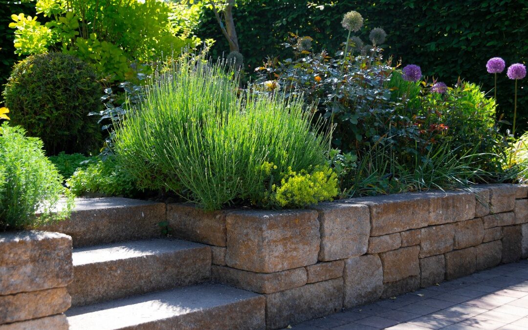 Simple Retaining Wall Tips: Drainage, Upkeep, and Planting