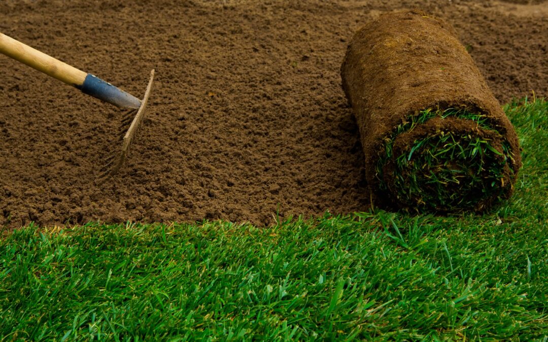 New Sod, Now What? Watering, Mowing & Care Made Easy