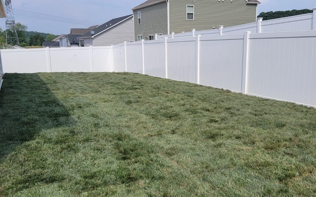 Sod Success Starts Here: Prep Right, Water Smart, and Choose the Best Grass