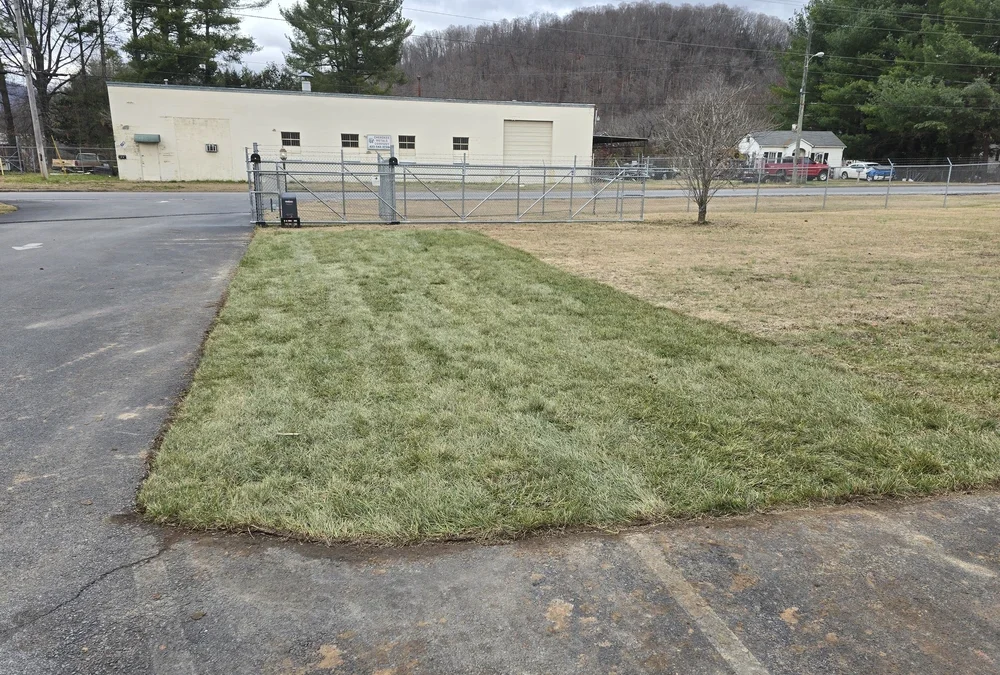 How Much Does Sod Installation Cost? Is It Worth It for Homeowners?