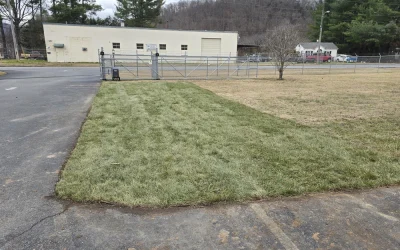 How Much Does Sod Installation Cost? Is It Worth It for Homeowners?
